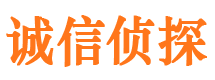 册亨婚外情调查取证